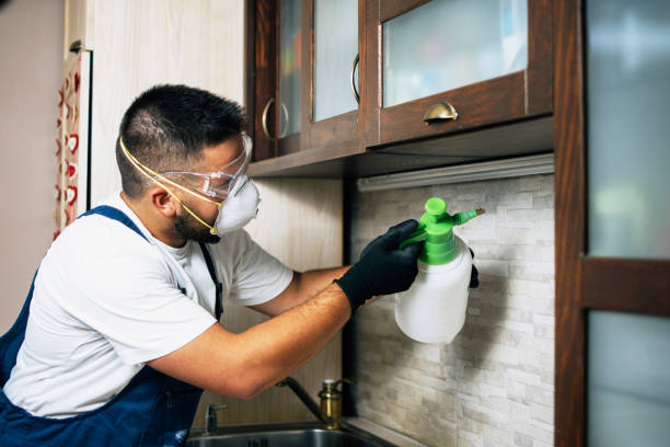 Best Affordable Pest Control Services  in Buckeye Lake, OH