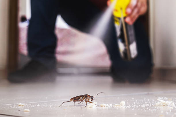 Best Emergency Pest Control  in Buckeye Lake, OH